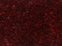 Ürgüp 1211 Bordo