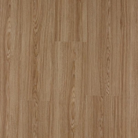 C60 Akdamar
