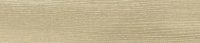 Ash Light - 47419